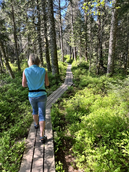 23-05-27 10-54-56 5722.jpg